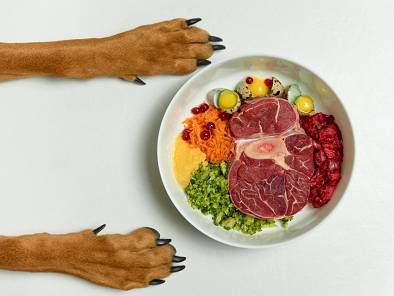 Jakie mięso może jeść pies?